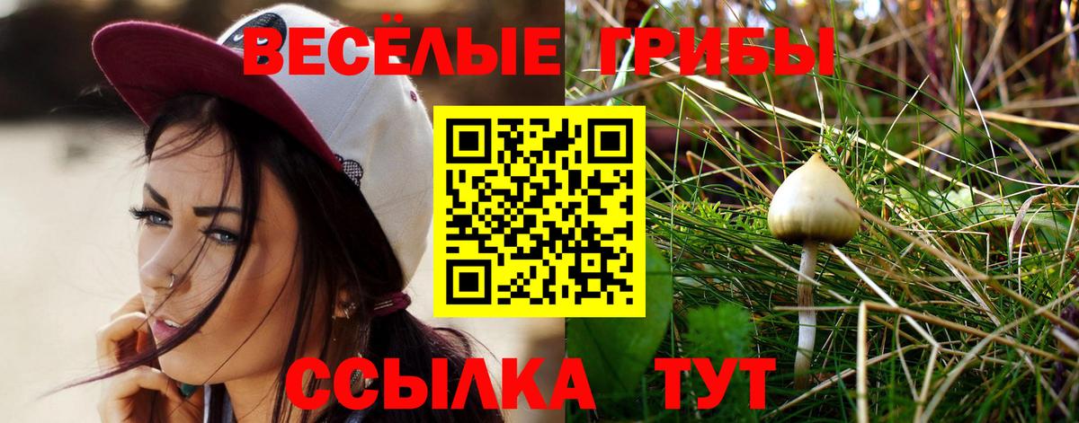 Бугуруслан  Галлюциногенные грибы Magic Shrooms  Вход с VPN 
